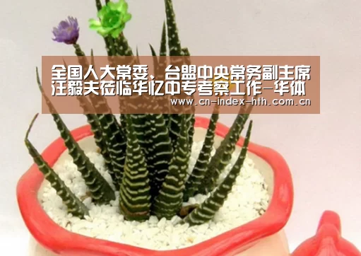 电竞棋牌