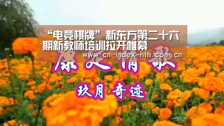 华体会棋牌