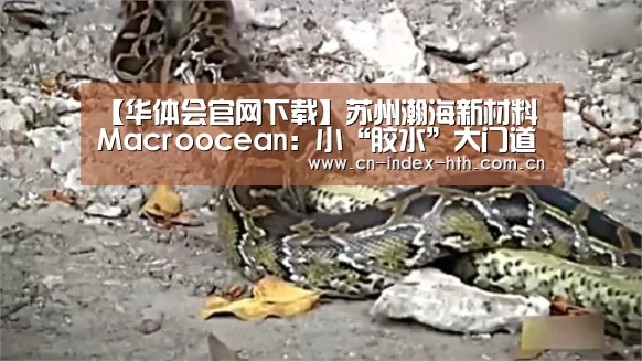 华体会官网下载
